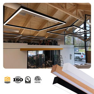 Commercial Modern 3CCT 1.2M Recessed Pendant Linear Light