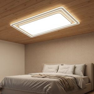 Modern Designer Luxury Decorate Room Ceiling LED Light
