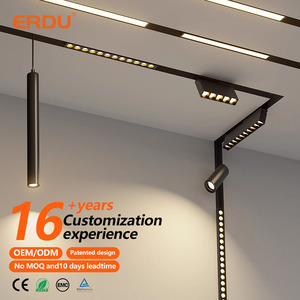 Smart Professional Magnetic System 48V Linear Lighting